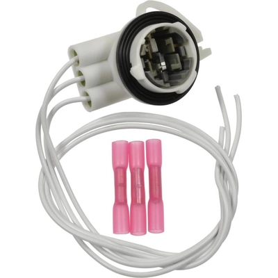 Rear Turn Signal Light Socket by BLUE STREAK (HYGRADE MOTOR) - S1726 pa5