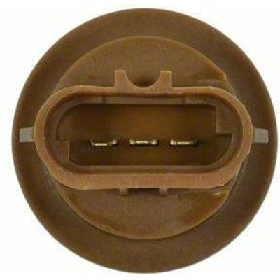 Rear Turn Signal Light Socket by BLUE STREAK (HYGRADE MOTOR) - HP3805 pa19