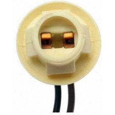 Rear Turn Signal Light Socket by BLUE STREAK (HYGRADE MOTOR) - S74 pa34