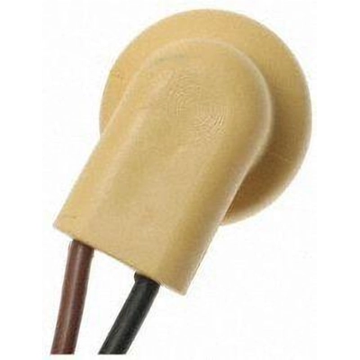 Rear Turn Signal Light Socket by BLUE STREAK (HYGRADE MOTOR) - S95 pa47