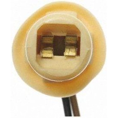 Rear Turn Signal Light Socket by BLUE STREAK (HYGRADE MOTOR) - S97 pa29