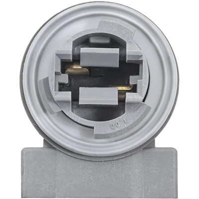 BWD AUTOMOTIVE - PT2585 - Parking Light Bulb Socket pa2