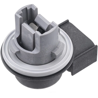 BWD AUTOMOTIVE - PT2593 - Tail Lamp Socket pa1