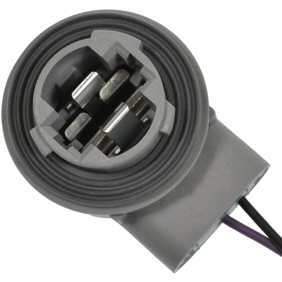 STANDARD - PRO SERIES - S2286 - Tail Light Socket pa2