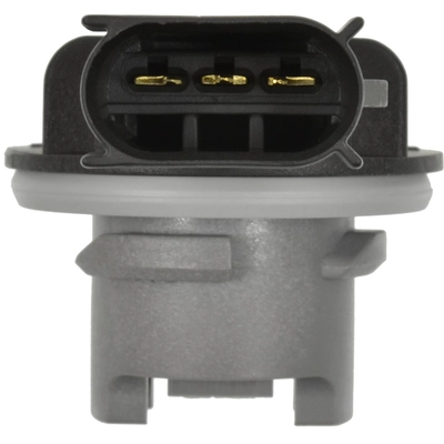 STANDARD - PRO SERIES - S2289 - Tail Lamp Socket pa2