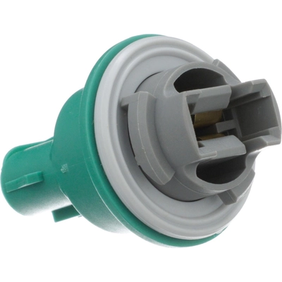 STANDARD - PRO SERIES - S841 - Back Up Light Socket pa6