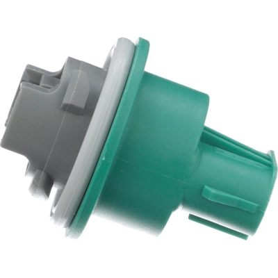 STANDARD - PRO SERIES - S841 - Back Up Light Socket pa7