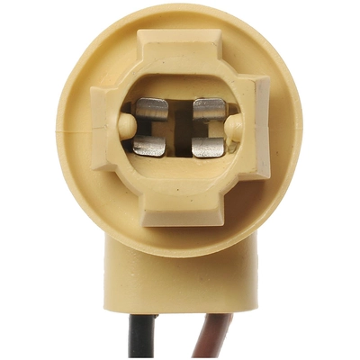 STANDARD - PRO SERIES - S95 - Back Up Light Socket pa2