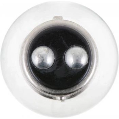 Rear Turn Signal (Pack of 10) by PHILIPS - 198CP pa20