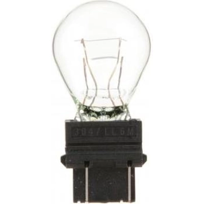 Rear Turn Signal (Pack of 10) by PHILIPS - 3047LLCP pa20