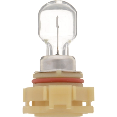 Rear Turn Signal by PHILIPS - PSX24WC1 pa1