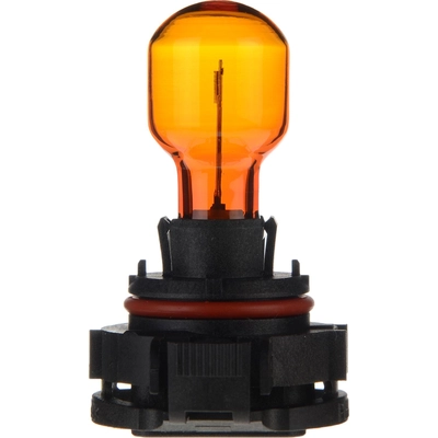 Rear Turn Signal by PHILIPS - PSY19WNAC1 pa23