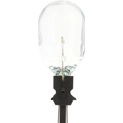 PHILIPS - WT21WCP - Back Up Reverse Lamp Bulb pa1