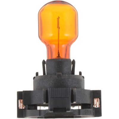 Rear Turn Signal by PHILIPS - PY24WNAC1 pa11