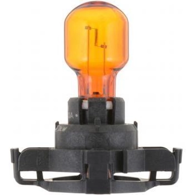 Rear Turn Signal by PHILIPS - PY24WNAC1 pa36