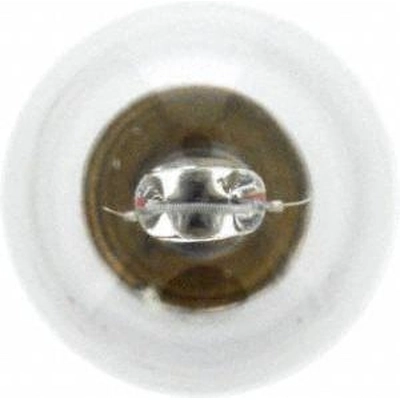 Rear Turn Signal by SYLVANIA - 1141.TP pa46