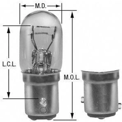Rear Turn Signal (Pack of 10) by WAGNER - 3496 pa15