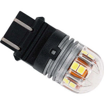 Rear Turn Signal by WAGNER - BP3157WLED pa1