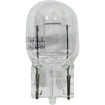 Rear Turn Signal (Pack of 2) by WAGNER - BP7440LL pa1