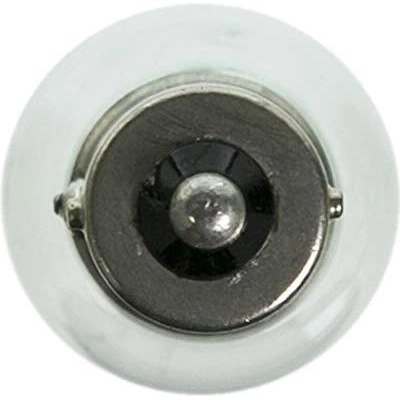 Rear Turn Signal by WAGNER - BP1073 pa10