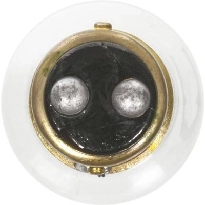 Rear Turn Signal by WAGNER - BP1157 pa9