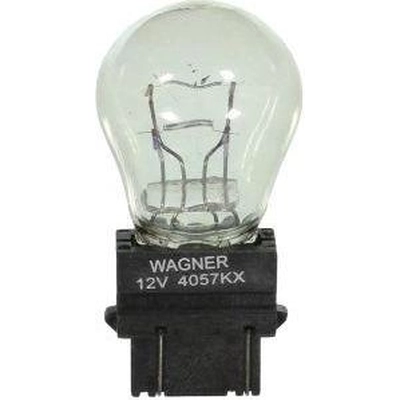 Rear Turn Signal by WAGNER - BP4057LL pa19