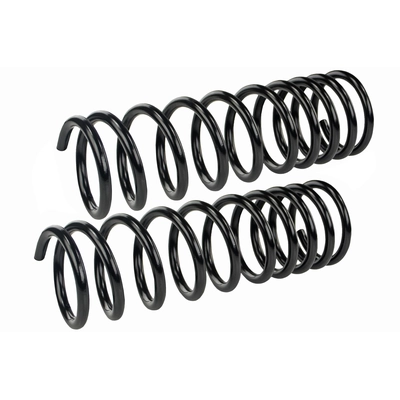 Rear Variable Rate Springs by MEVOTECH - SMS247V pa1