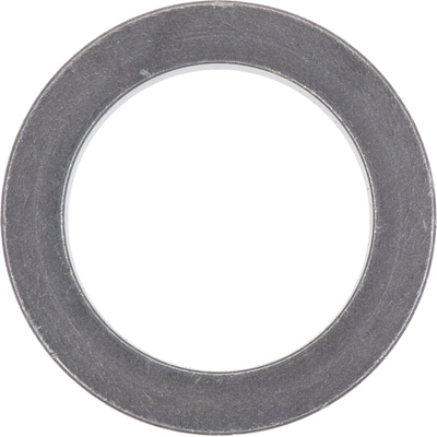Rear Wheel Bearing Retainer by DANA SPICER - 10052556 pa1