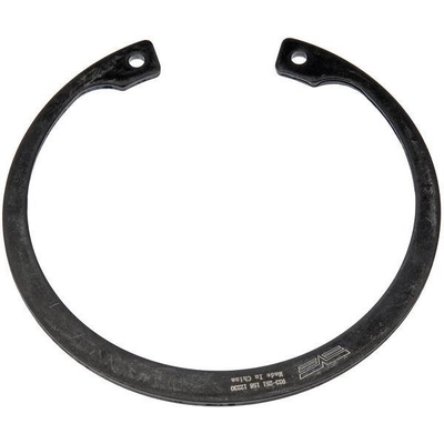 Rear Wheel Bearing Retainer by DORMAN (OE SOLUTIONS) - 933-251 pa1