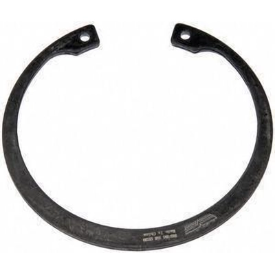 Rear Wheel Bearing Retainer by DORMAN (OE SOLUTIONS) - 933-251 pa2