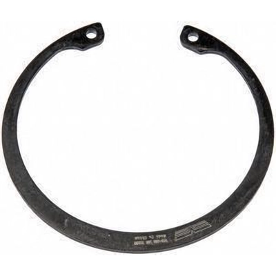 Rear Wheel Bearing Retainer by DORMAN (OE SOLUTIONS) - 933-260 pa3