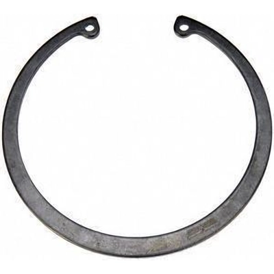 Rear Wheel Bearing Retainer by DORMAN (OE SOLUTIONS) - 933-930 pa1