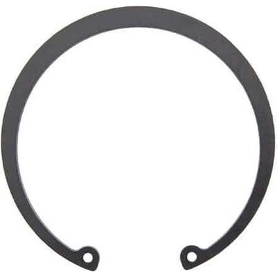 Rear Wheel Bearing Retainer by EDGE - TB207 pa1