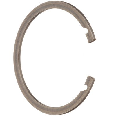 SCHAEFFLER - WR0210 - Rear Wheel Bearing Retainer pa1