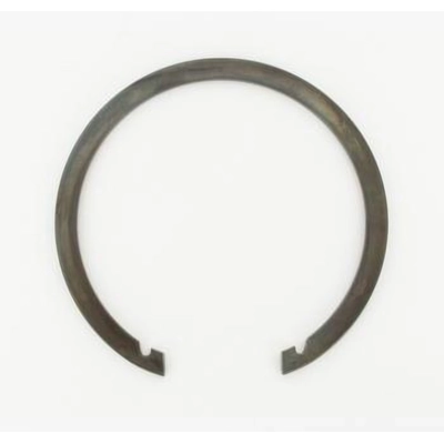 Rear Wheel Bearing Retainer by SKF - CIR186B pa6