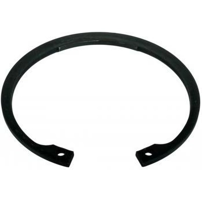 Rear Wheel Bearing Retainer by SKF - CIR187 pa3