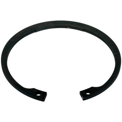 Rear Wheel Bearing Retainer by SKF - CIR200 pa2