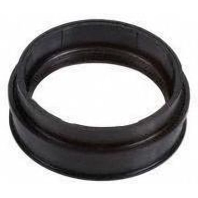 Rear Wheel Seal by NATIONAL OIL SEALS - 710574 pa1
