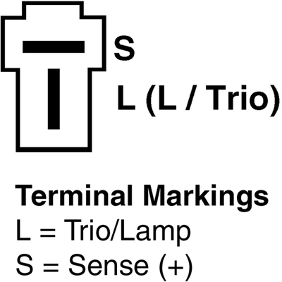 Remanufactured Alternator by REMY - 14743 pa1