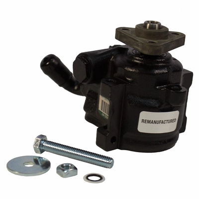 Remanufactured Power Steering Pump by MOTORCRAFT - STP176RM pa1