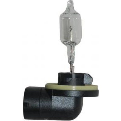 Replacement Bulb by HELLA - 889 pa2