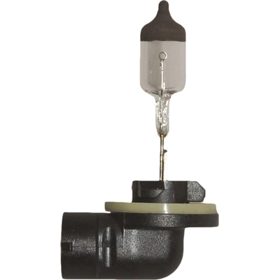 Replacement Bulb by HELLA - 898 pa3