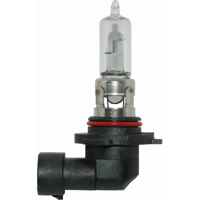 Replacement Bulb by HELLA - 9005-100W pa1