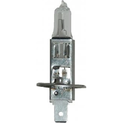 Replacement Bulb by HELLA - H1-100W pa1