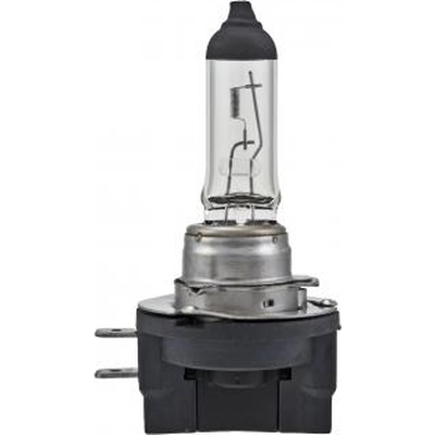 Replacement Bulb by HELLA - H11B pa2
