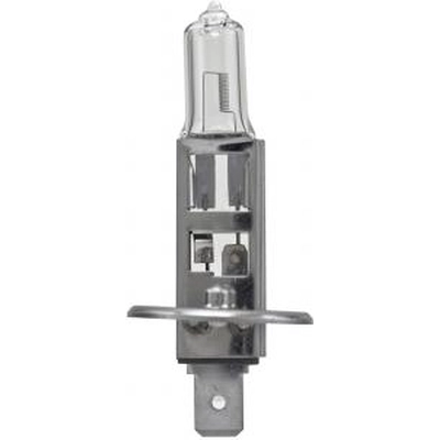 Replacement Bulb by HELLA - H1P50 pa2