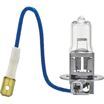 Replacement Bulb by HELLA - H3P50 pa1