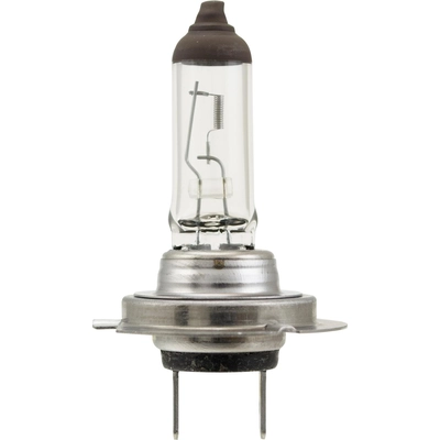 Replacement Bulb by HELLA - H7-70W pa1