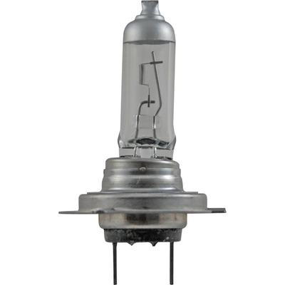 Replacement Bulb by HELLA - H7P50 pa1