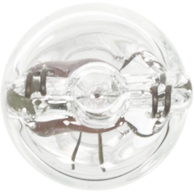 Seat Belt Warning Light by WAGNER - BP168 pa22
